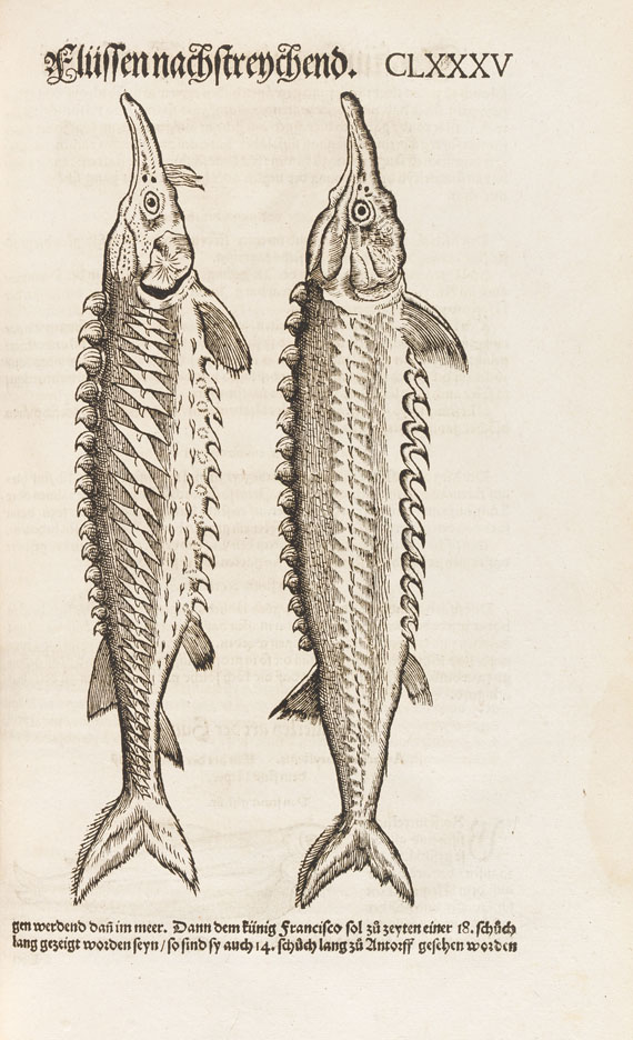 Conrad Gesner - Vogel-, Thier-, Fisch- und Schlangenbuch, 1575-89.