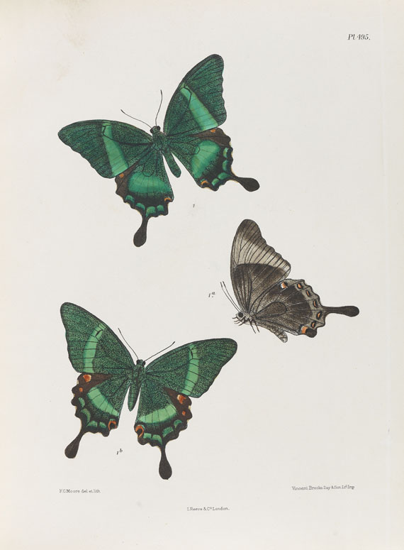 Frederic Moore - Lepidoptera Indica. 1890-1913. 10 Bde.. - Altre immagini