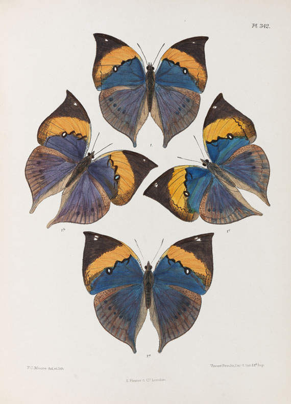 Frederic Moore - Lepidoptera Indica. 1890-1913. 10 Bde.. - Altre immagini