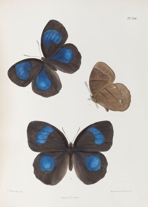 Frederic Moore - Lepidoptera Indica. 1890-1913. 10 Bde.. - Altre immagini