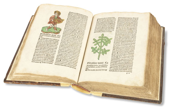   - Herbarius zu teütsch. 1502. - Altre immagini