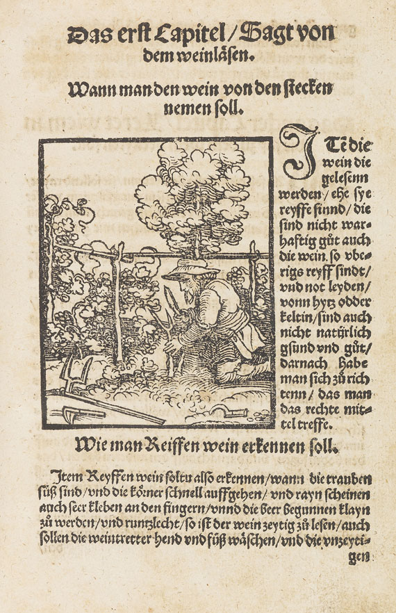   - Kellermaisterey. Augsburg 1536.. - Altre immagini