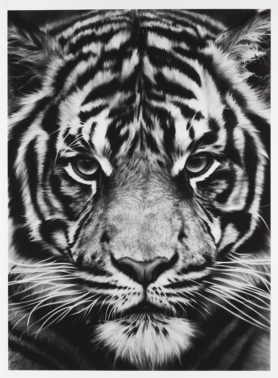 Robert Longo - Tiger