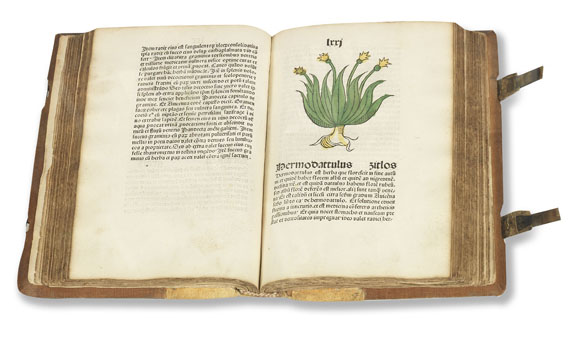   - Herbarius Patavie. 1485. - Altre immagini