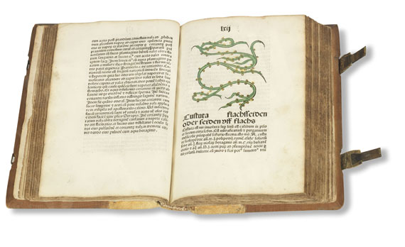   - Herbarius Patavie. 1485. - Altre immagini