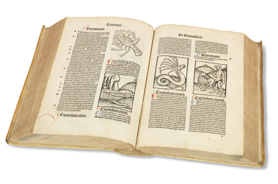   - Hortus sanitatis. 1497. - Altre immagini