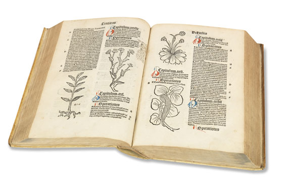   - Hortus sanitatis. 1497. - Altre immagini