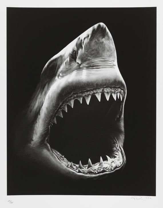 Robert Longo - Shark 5