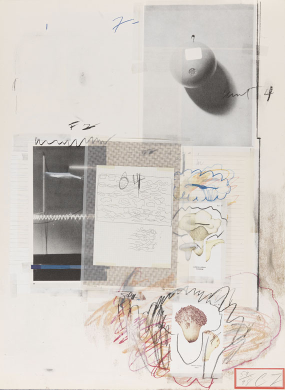 Cy Twombly - Natural History Part I, Mushrooms - Altre immagini