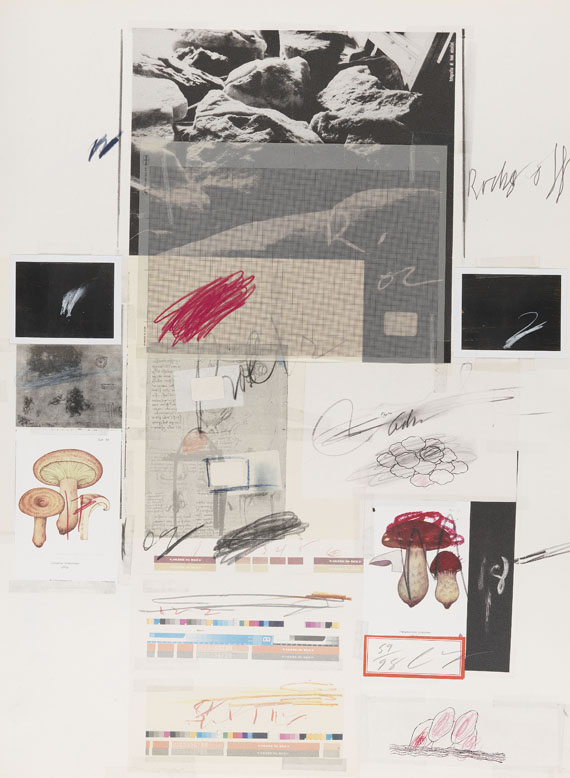 Cy Twombly - Natural History Part I, Mushrooms - Altre immagini