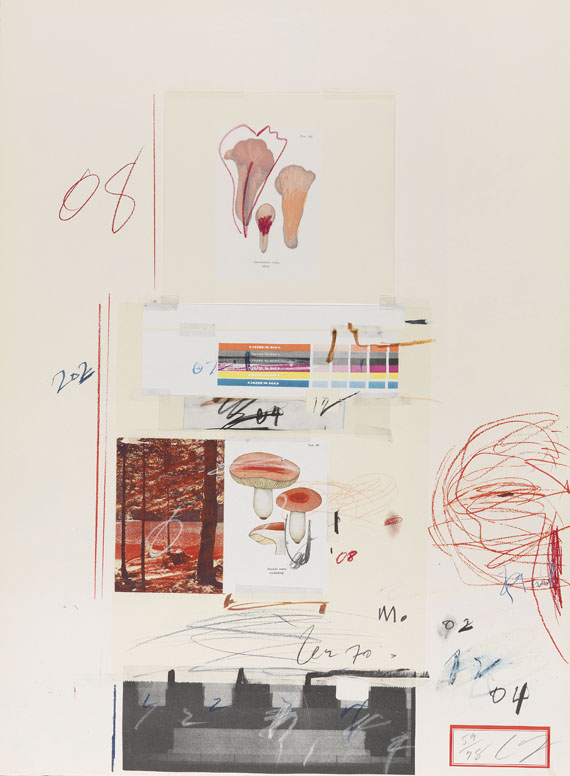 Cy Twombly - Natural History Part I, Mushrooms - Altre immagini