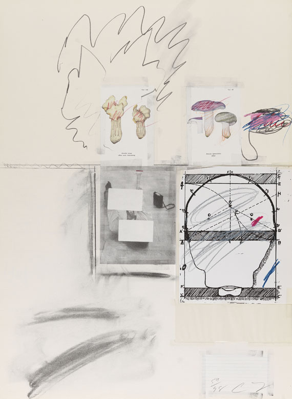 Cy Twombly - Natural History Part I, Mushrooms - Altre immagini