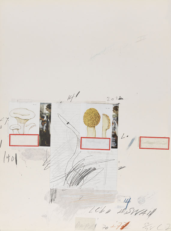 Cy Twombly - Natural History Part I, Mushrooms - Altre immagini