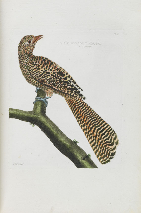 Francois Nicolas Martinet - Oiseaux. Um 1780-90. - Altre immagini