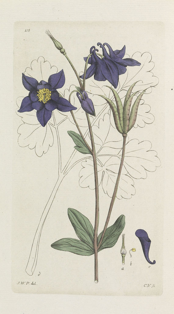Johann Wilhelm Palmstruch - Svensk Botanik. 10 Bde. + 1 Einzellieferung. 1802-29