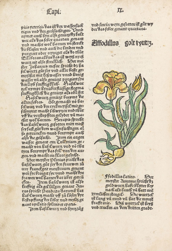   - Gart der Gesundheit. 1489