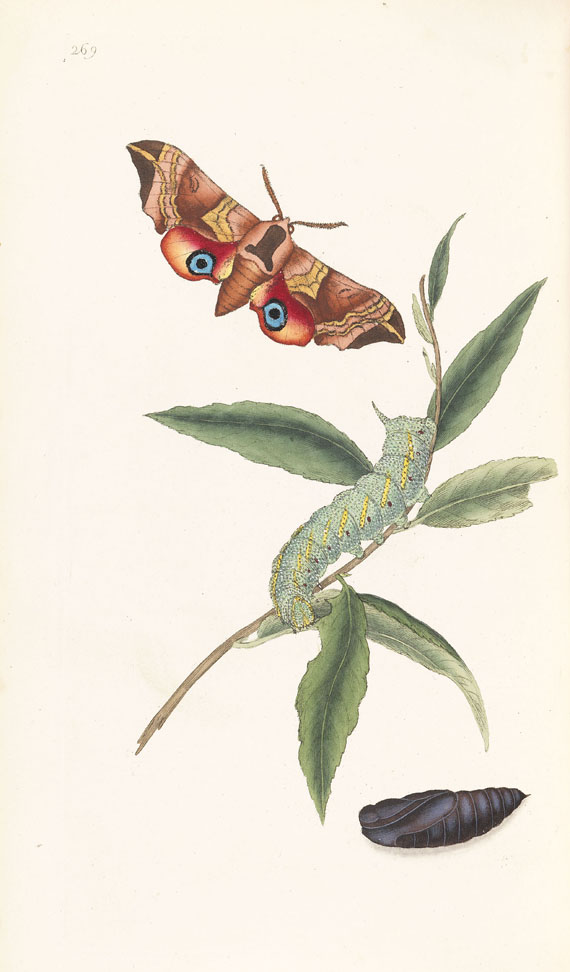 Edwards Donovan - Natural History of British insects. 10 Bde. 1792f.