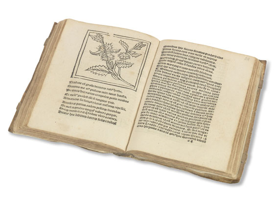 Floridus Macer - (d. i. Odo von Meung), De viribus herbarum. - Altre immagini