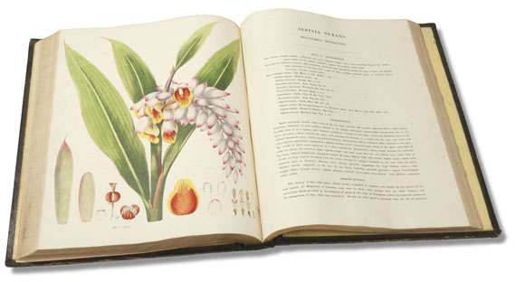 William Roscoe - Monandrian Plants, 1828 - Altre immagini