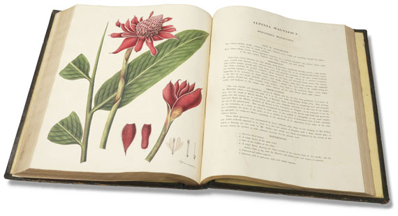 William Roscoe - Monandrian Plants, 1828 - Altre immagini