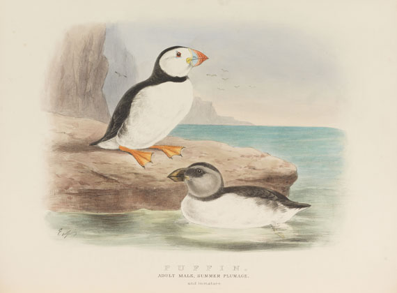 Edwin Carton Booth - Rough notes on the birds in the British Islands. 3 Bde. - Altre immagini