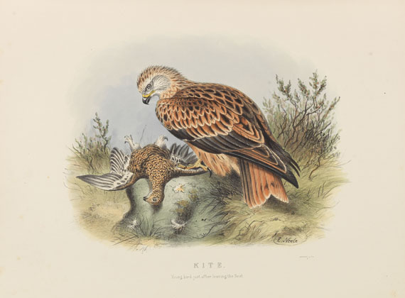 Edwin Carton Booth - Rough notes on the birds in the British Islands. 3 Bde. - Altre immagini