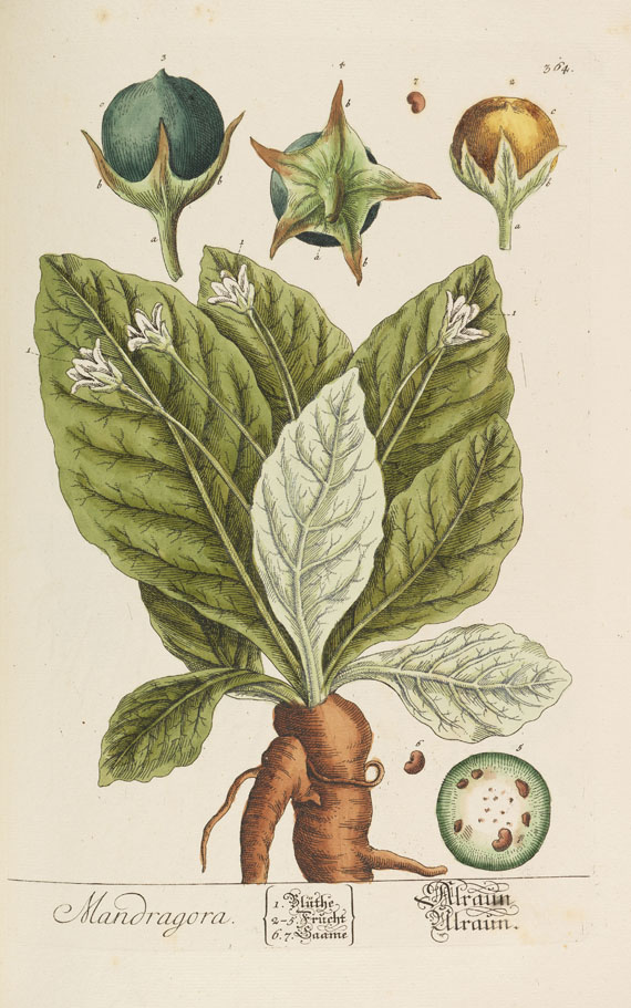 Elisabeth Blackwell - Herbarium selectum. Bd. 3 und 4 in 1 Bd. - Altre immagini