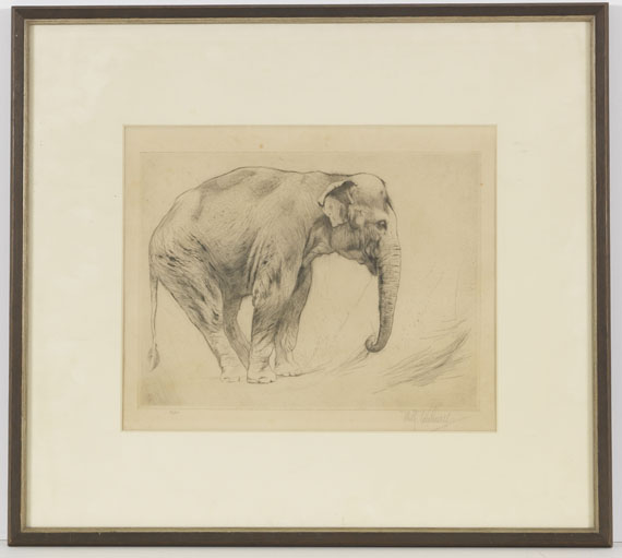 Wilhelm Kuhnert - 4 Bll: Indischer Elefant. Tiger. Löwen. Löwe sitzend - Cornice