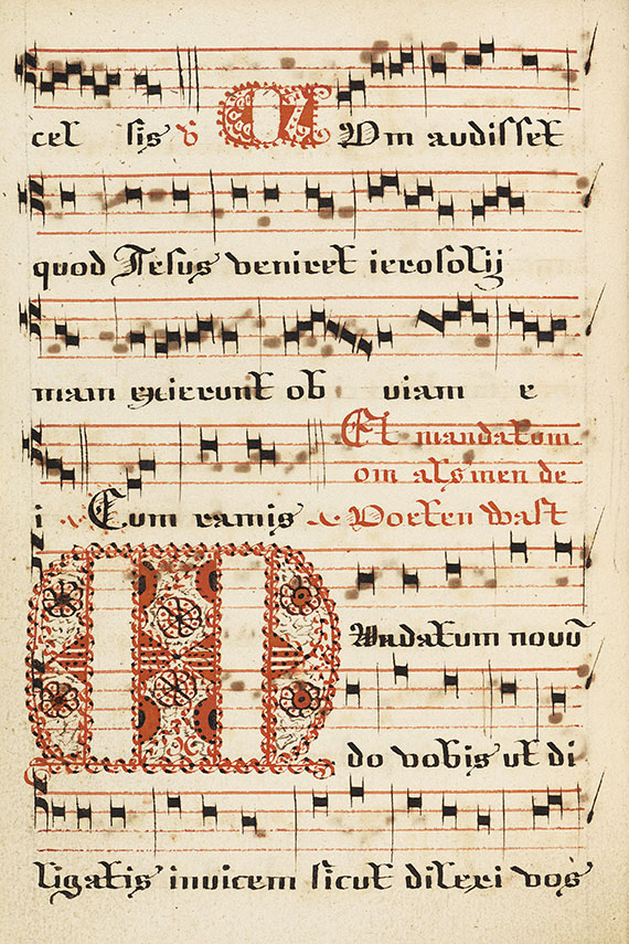   - Manuskript (lateinisch u. holländisch) Ca. 17 Jh.