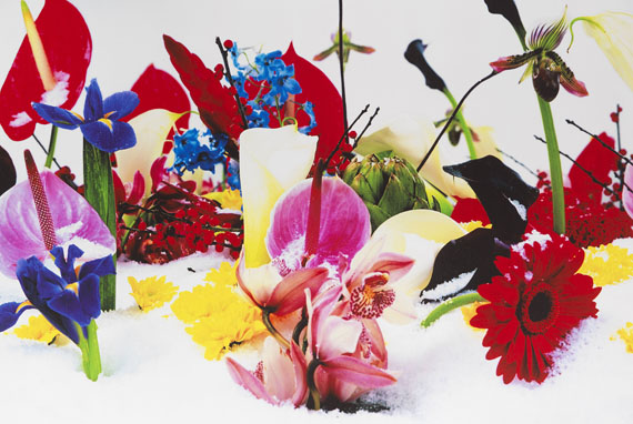 Marc Quinn - Winter Garden - Altre immagini