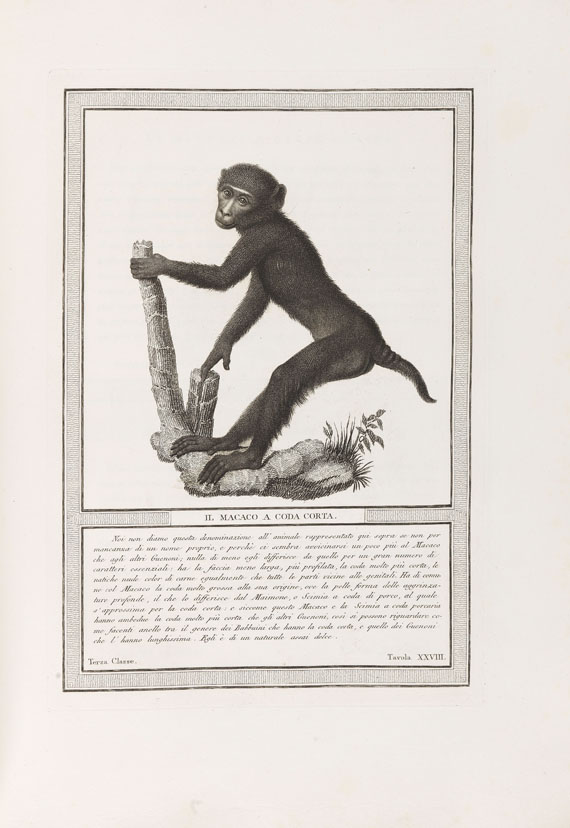 Nicolas Henri Jacob - Storia naturale. 1812 - Altre immagini
