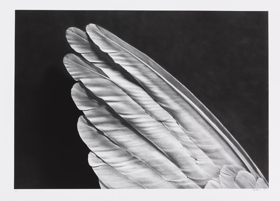 Robert Longo - Untiled (Wing)