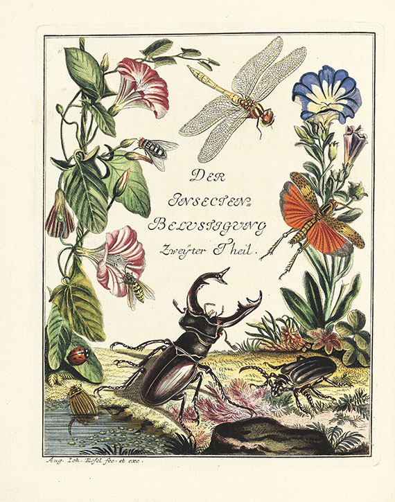 August Johann Rösel von Rosenhof - Insecten-Belustigung, 4 Bde., dazu Kleemann, Beyträge zur Naturgeschichte, 2 Bde. in 1, zusammen 5 Bde.