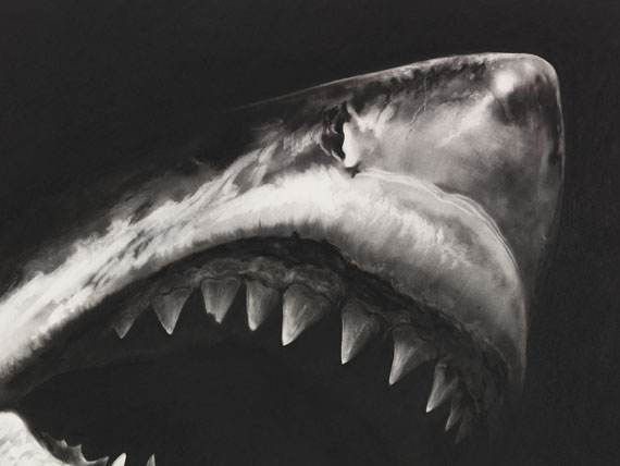 Robert Longo - Untitled (Shark 15) - Altre immagini