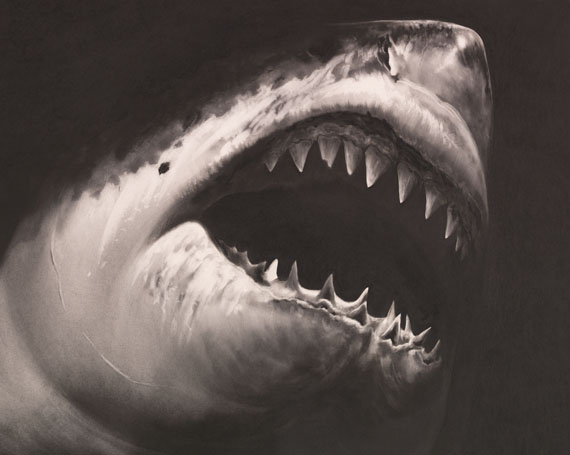 Robert Longo - Untitled (Shark 15) - Altre immagini