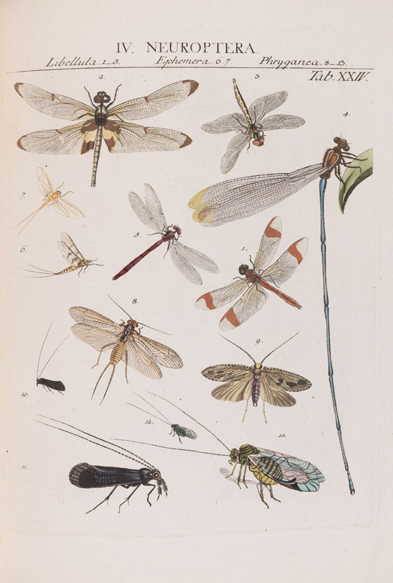 Johann Jacob Roemer - Genera insectorum - Altre immagini
