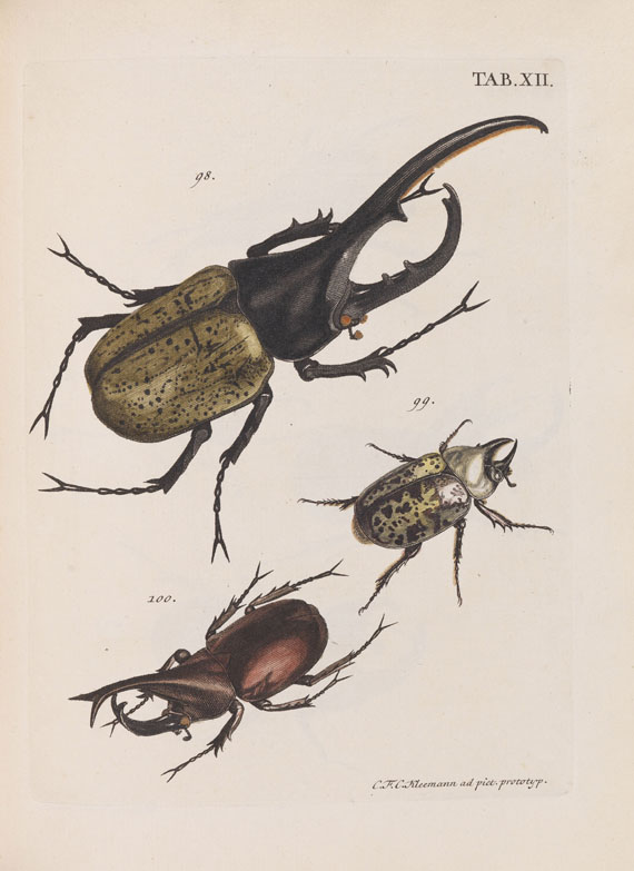 Johann Euseb Voet - Catalogus systematicus coleopterorum. 2 Bde.
