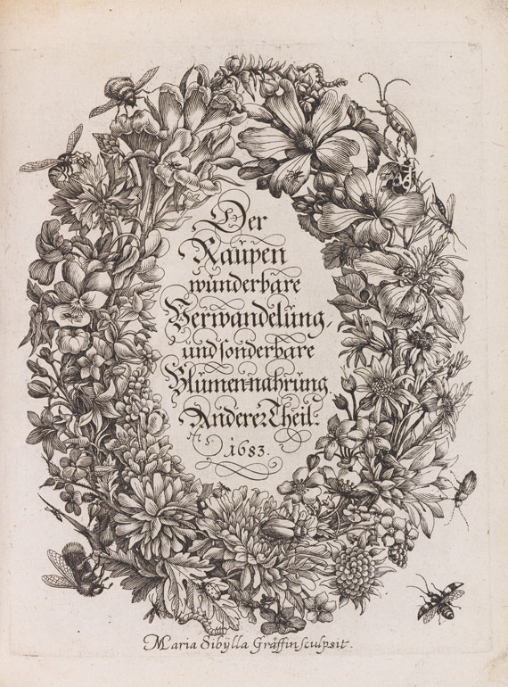 Maria Sibylla Merian - Der Raupen Verwandelung - Altre immagini