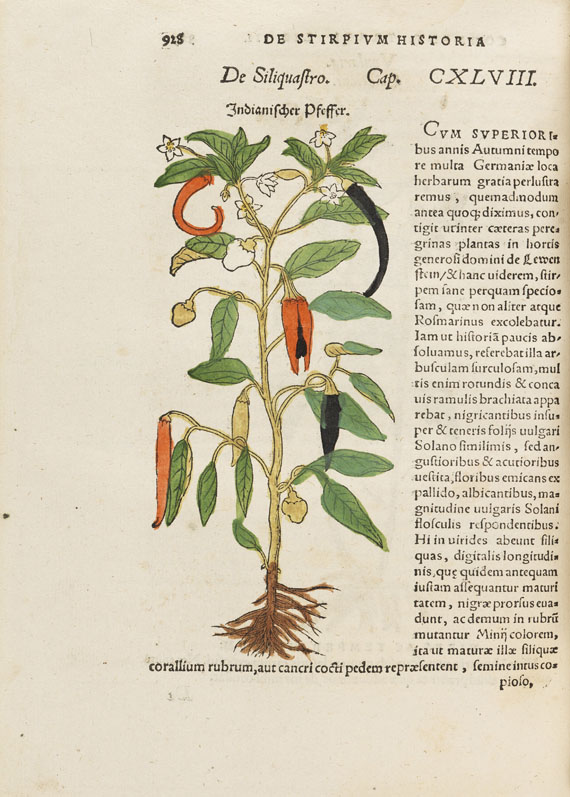 Hieronymus Bock - De stirpium - Altre immagini