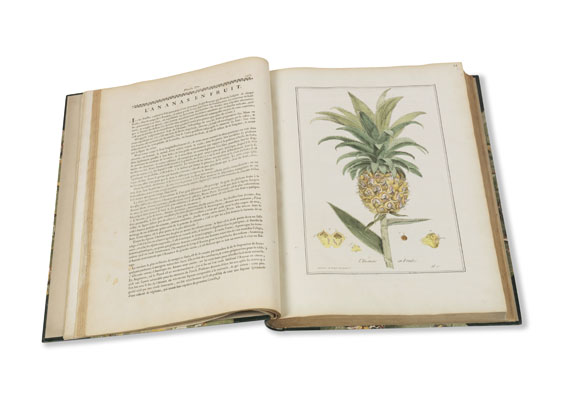 Nicolas Francois Regnault - La botanique mise à la portée. 3 Bände - Altre immagini