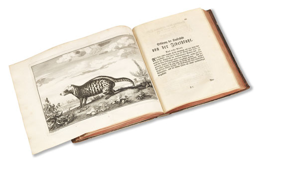 Claude Perrault - Abhandlungen zur Naturgeschichte. 3 Bände - Altre immagini