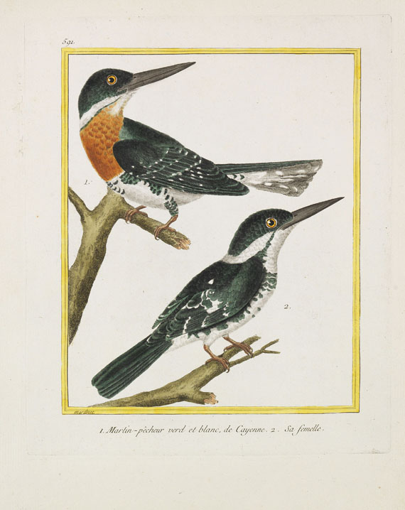 Georges Louis Leclerc Buffon - Histoire naturelle des oiseaux. 3 Kassetten - Altre immagini