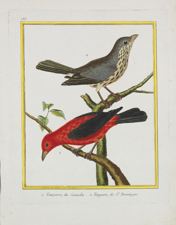 Georges Louis Leclerc Buffon - Histoire naturelle des oiseaux. 3 Kassetten - Altre immagini