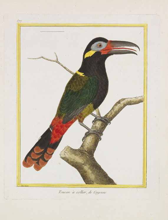 Georges Louis Leclerc Buffon - Histoire naturelle des oiseaux. 3 Kassetten - Altre immagini