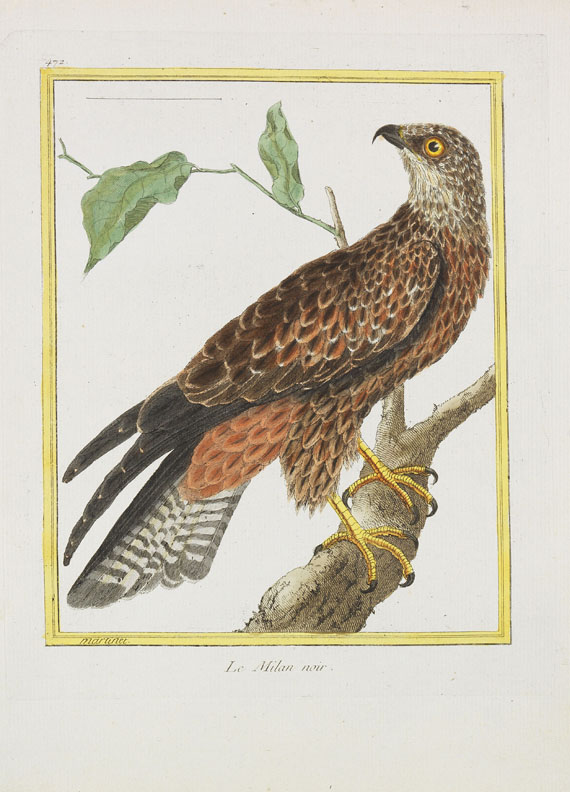 Georges Louis Leclerc Buffon - Histoire naturelle des oiseaux. 3 Kassetten - Altre immagini