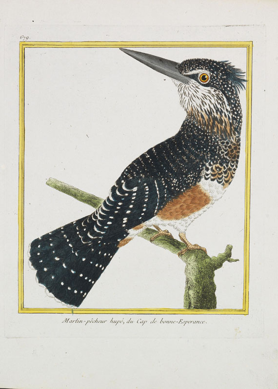 Georges Louis Leclerc Buffon - Histoire naturelle des oiseaux. 3 Kassetten - Altre immagini