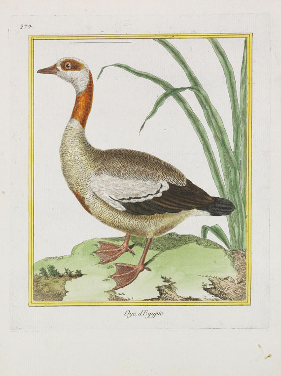 Georges Louis Leclerc Buffon - Histoire naturelle des oiseaux. 3 Kassetten - Altre immagini