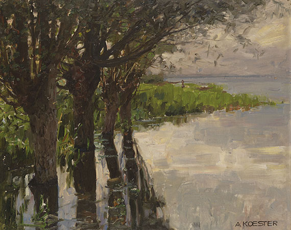 Alexander Koester - Reichenau, Weiden am See, Sonne