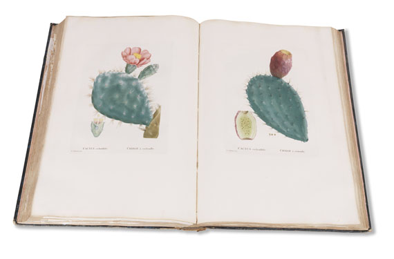 Augustin-Pyrame de Candolle - Plantarum historia. 2 Bände - Altre immagini