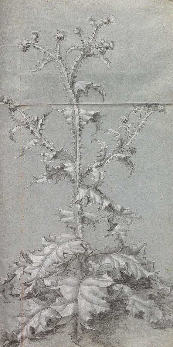   - Fleurs du Printemps et de l´Este - Altre immagini